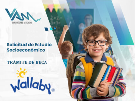 Estudio Socioeconómico Colegio Wallaby